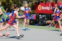 21765756_1407082436027355_8960510229410245040_o